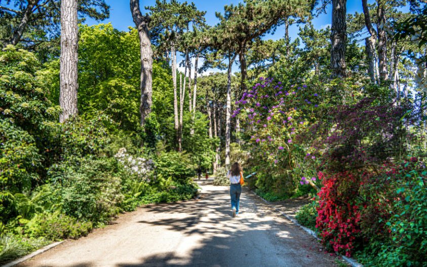 Parc Floral Et Arboré de la Chènevière, , France